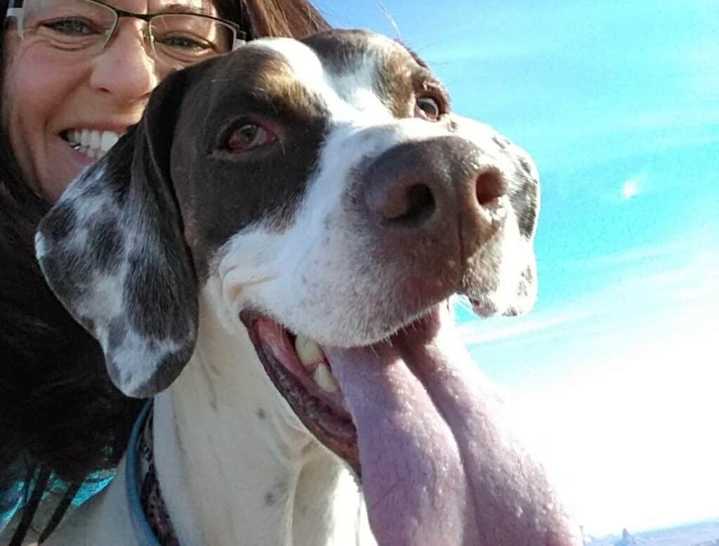 Welcome Your Four-Legged Family Members