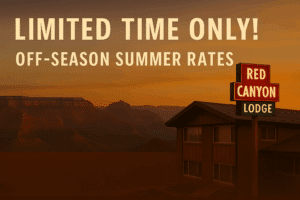 Off season summer rates.